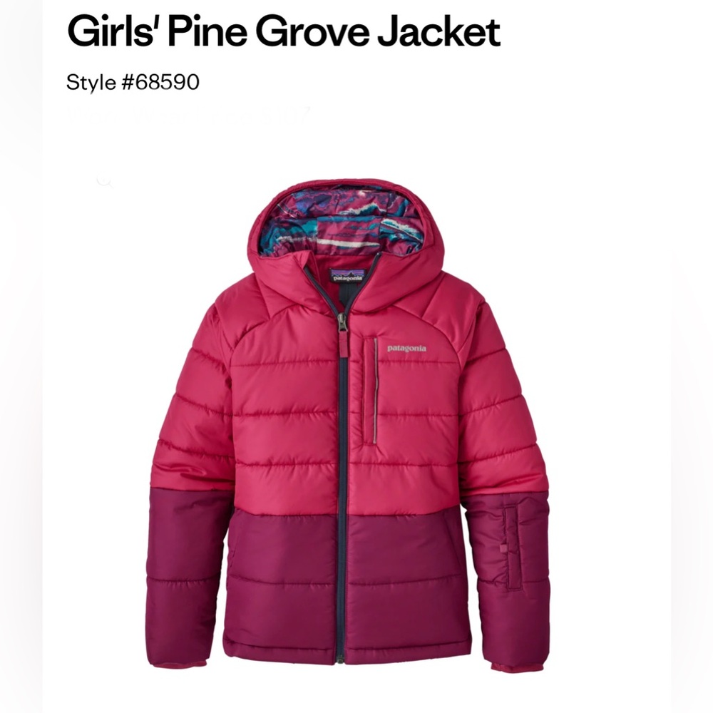 Patagonia Vibrant Pink and Purple Jacket